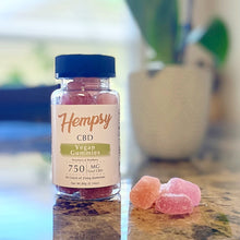 Load image into Gallery viewer, Gummies